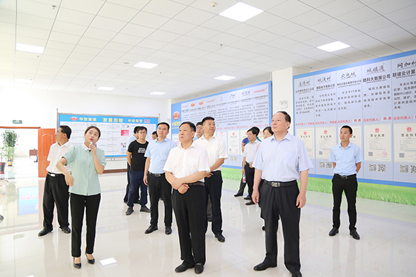 Warmly Welcome Shandong Provincial Statistics Bureau Leaders To Visit The China Coal Group